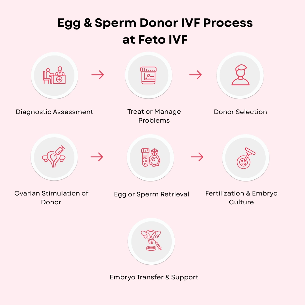 Detailed egg & sperm donor IVF process demonstrating advanced fertility treatment care in Coimbatore