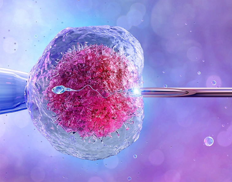 Advanced IVF fertility treatments ensure high success pregnancy outcomes with expert medical care.