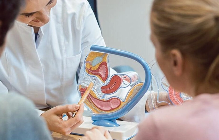 Advanced fertility surgery treatments in Coimbatore supports conception with expert medical care.