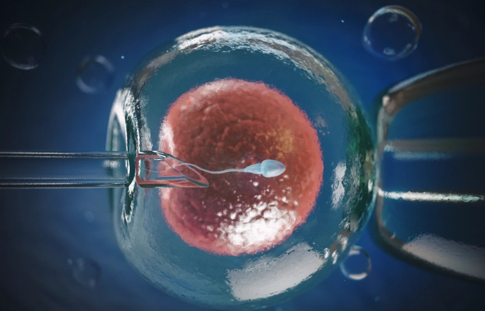 Experts provide IVF treatment procedures & fertility care for couples seeking success in Coimbatore