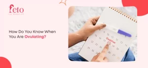 How Do You Know When You Are Ovulating?