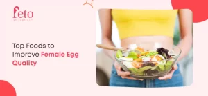 Top Foods to Improve Female Egg Quality